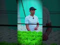 Marketing Tip from Caberto Hydroponics