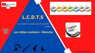 Cibles Couleurs FFTir : comprendre les niveaux et passer la cible blanche