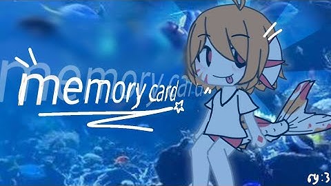 is ur memory card set correctly?
