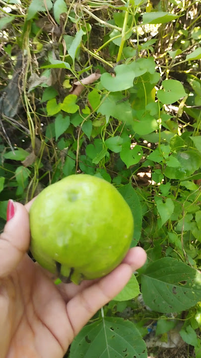 Mini vlog#trending #funny#princy #comedy #dance #viral video#princyplanet #dancevideo#shorts