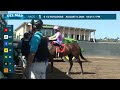 R B's Tiger wins race 1 at Del Mar 8/9/24