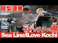 【水中撮影でグレとチヌの棚の違いを確認する】【シーライン釣果ノート65】Ocean fishing
