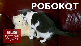 Робокот: может ли кошка подружиться с кошкой-роботом?