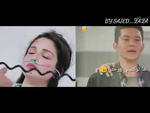 وقف هالنبض بالقلب موت حبيبته