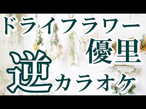 「ドライフラワー」KANTANコード対応　逆カラオケ　リクエスト曲