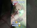 एक स्त्री की एहमियत #viral #shorts #trending