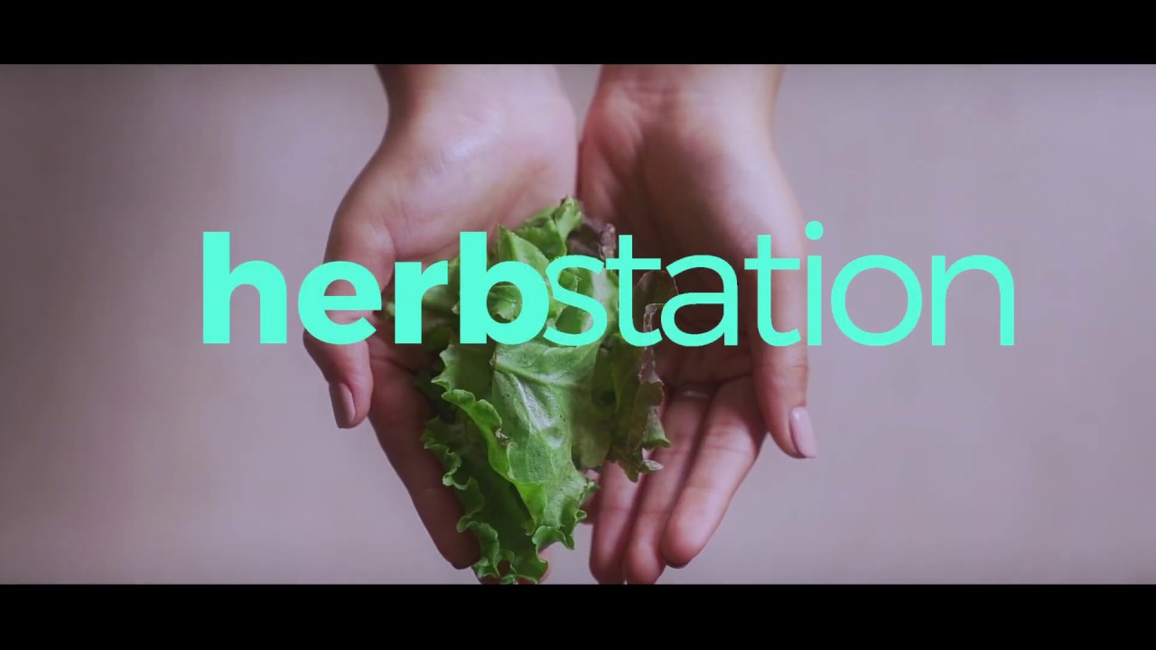 Herbstation // Desktop video thumbnail