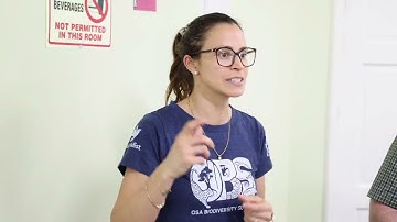 Landscapes For Our Future (LFF) Gives ILM Project a Boost in Saint Lucia and Grenada