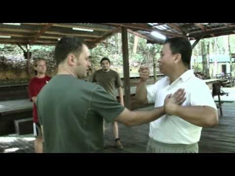 Free Pushing Hands - Master Lau's Jungle workshop