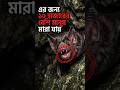 দাঁত না, জিভ দিয়ে রক্ত খায় 😱 Vampire বাদুড়ের আসল রহস্য কি ?
