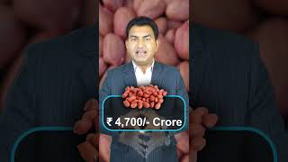 Top 7 Countries for Peanut Export. #Pareshsolanki #Exporter #Importer #Business #onlineexim