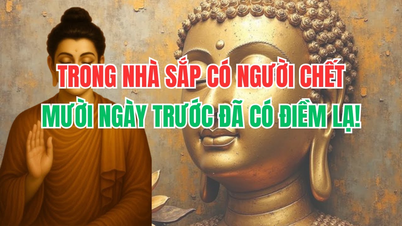 TRONG NHÀ SẮP CÓ NGƯỜI CHẾT, MƯỜI NGÀY TRƯỚC ĐÃ CÓ ĐIỀM LẠ!
