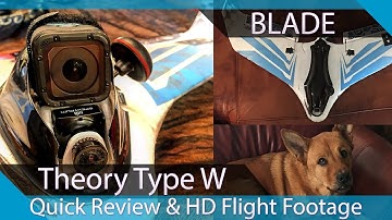 Blade Theory Type W - Review + HD Flight Footage - How To Fix Video Interference