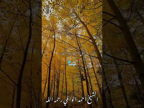 وما حب الديار من شغفن قلبي ولكن حب من سكن الديارا الشيخ أحمد الوائلي رحمه الله