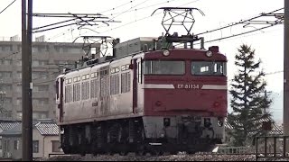 EF81 134 単機回送　信越本線下り
