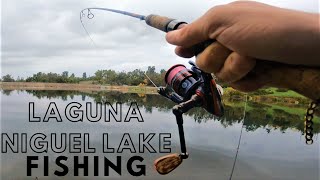 Trout Fishing OC Parks | Laguna Niguel Regional Park | Part 2