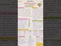 Tribals, Dikus and the Vision of a Golden Age | Class 8 History | Handwritten notes | NCERT #shorts