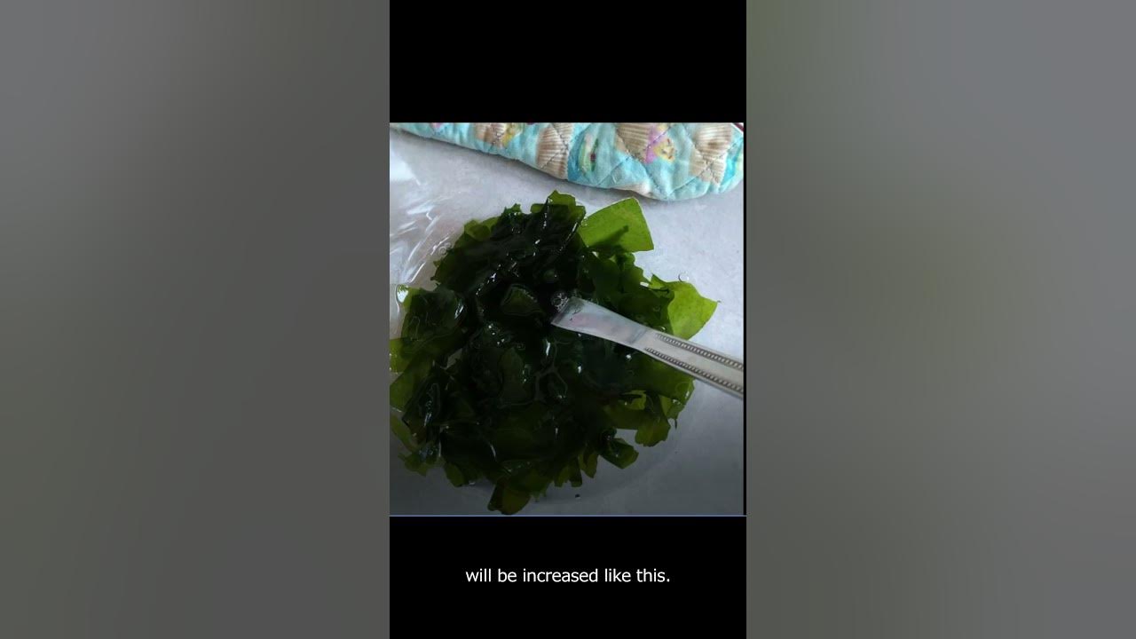 Fueru Wakame dried seaweed increasing with water. Don't use too much