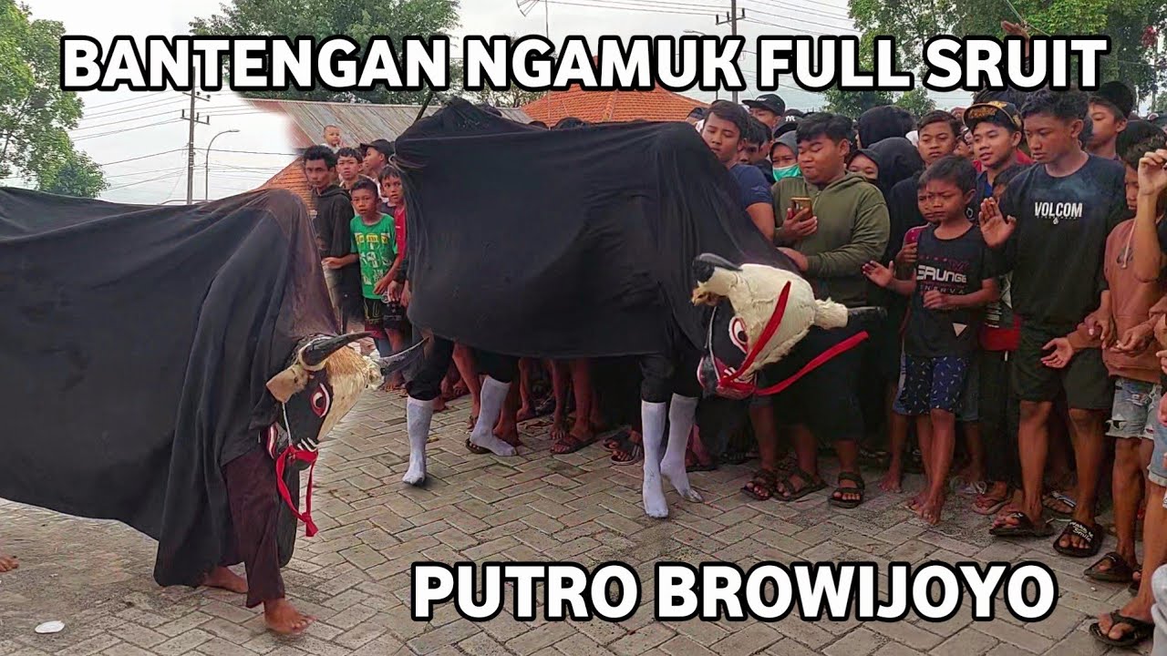 Bantengan Ngamuk Full Sruit Putro Browijoyo Live Musium Trowulan Mojokerto