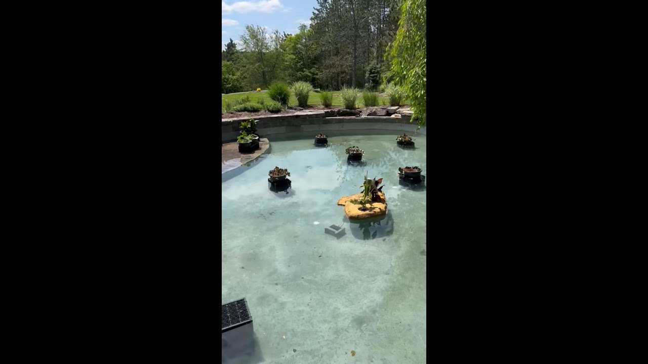 Pond Cleaning Before and After 