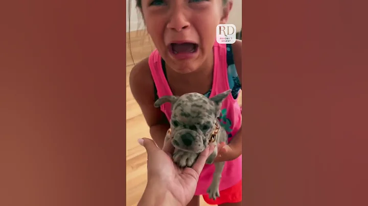 Girl Surprised with Adorable Puppy on her Birthday - DayDayNews