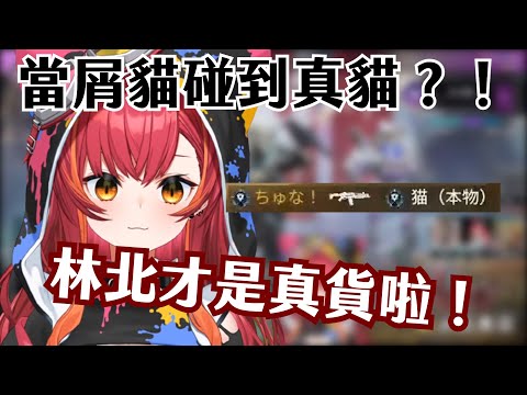 【Vtuber精華】當屑貓碰到真貓？！つな不當人類啦營運！【APEX / 猫汰つな / 神成きゅぴ / dexyuku / VSPO / ぶいすぽ】