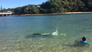 Famous Talley Beach Profile