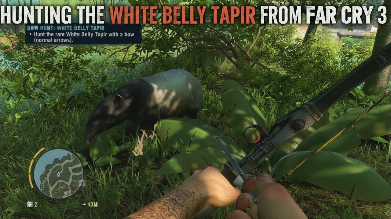 Hunting The White Belly Tapir On Far Cry 3 YouTube hunting-the-white-belly-tapir-on-far-cry-3-youtube