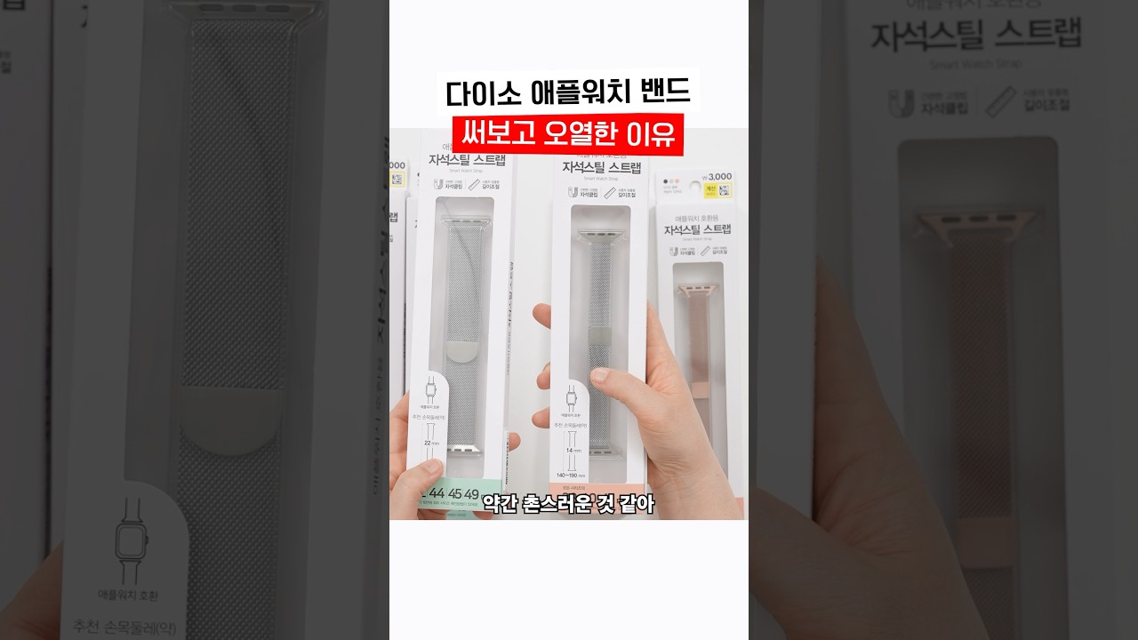 앱등이도 한 수 접는 3,000원짜리 애플워치 밴드