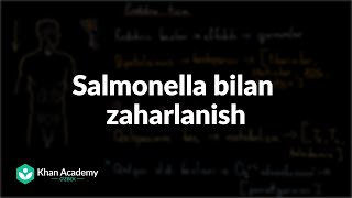 Salmonella bilan zaharlanish | Tibbiyot