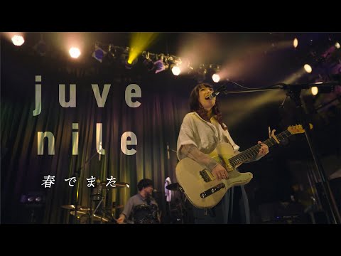 明くる夜の羊【LIVE】「春でまた、」2022.11.13＠渋谷WWW
