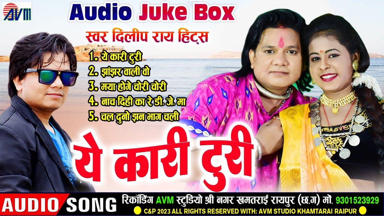 Dilip Ray | Cg Song | Ye Kari Turi | Chhattisgarhi Gana 2023 | Juke Box Dj | Avm Cg Song | AVM