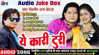 Dilip Ray | Cg Song | Ye Kari Turi | Chhattisgarhi Gana 2023 | Juke Box Dj | Avm Cg Song | AVM