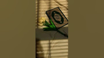 #راحة_نفسية #عبدالرحمن_مسعد #القران_الكريم #لايك #اكسبلور #تلاوة_خاشعة #قناة_القارىء_اسلام_صبحي #