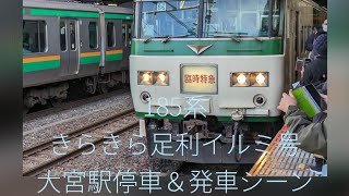 185系きらきら足利イルミ号　大宮駅停車＆発車シーン　#185系 #大宮駅