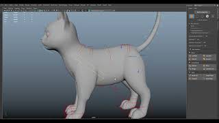 Information Cat Rigging in Maya Guide