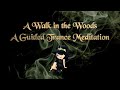 A Walk in the Woods: A Guided Trance Meditation