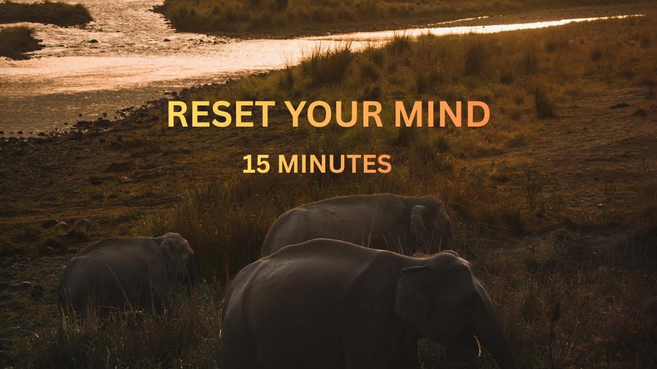 Reset Your Mind in 15 Minutes | Healing Sound Journey - YouTube