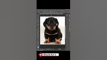 Hidden tricks of clone stamp in photoshop || Biozid Graphics ||  #shorts