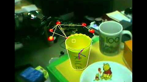 Visual Perception and Robotic Manipulation