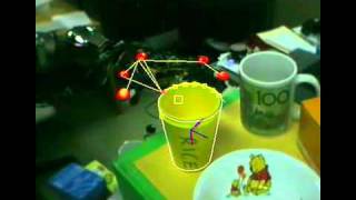Visual Perception and Robotic Manipulation