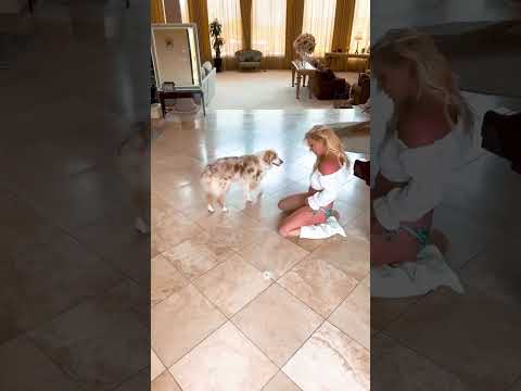 11.07.2023, Britney Spears Instagram Reels, Britney dancing at home (deleted video)