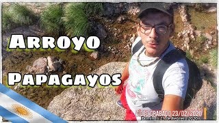 CONOCIENDO EL ARROYO DE PAPAGAYOS (antes de la kuar3nt3na)