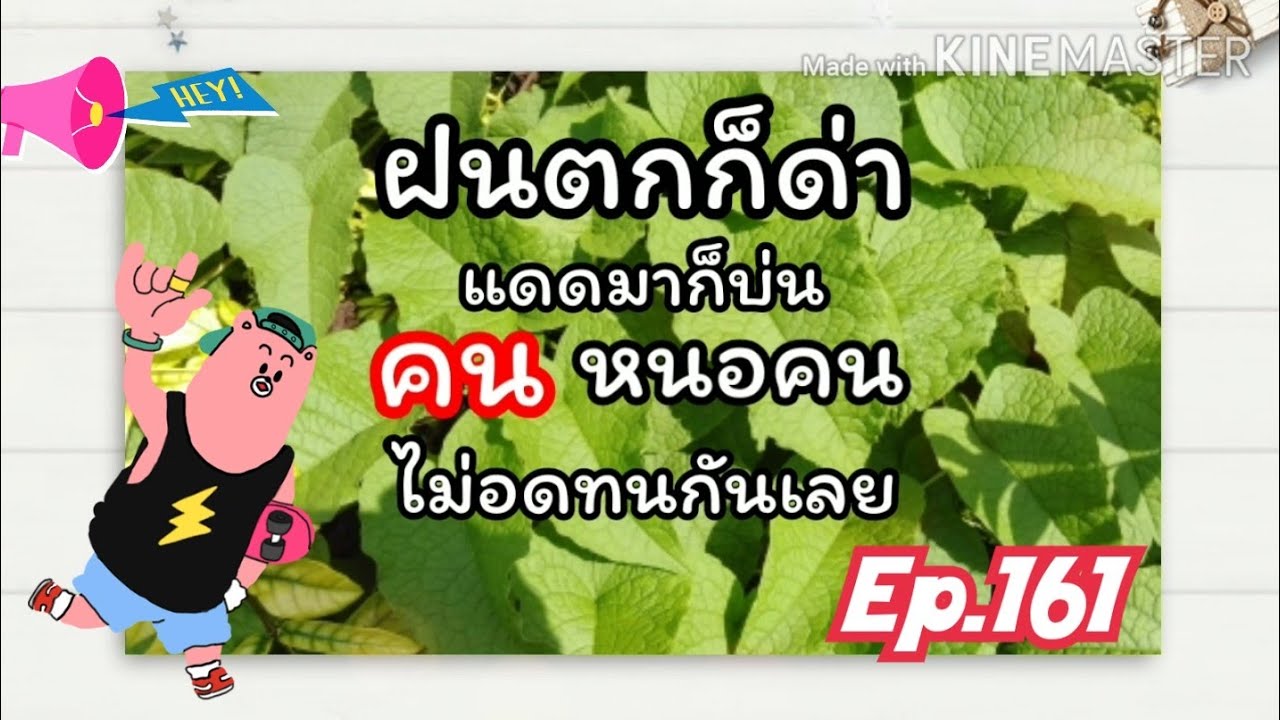 สเตตัส แค๊ปชั่น คำคม Ep 161 | คํา คม อาหารข้อมูลที่เกี่ยวข้องทั้งหมด