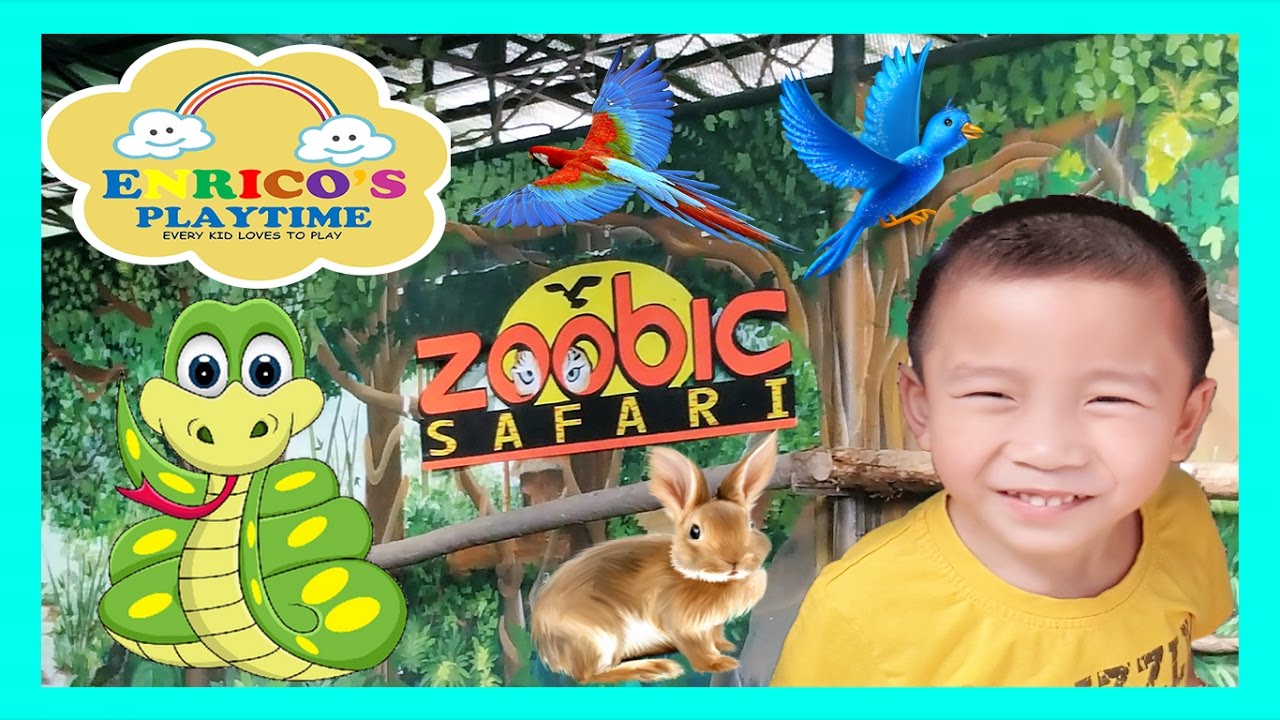 ANIMAL SHOW at Zoobic Safari Zoo for the KIDS and FAMILY - YouTube