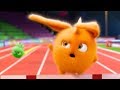 Sunny Bunnies | Turbo The Winner | COMPILATION | Cartoons for Children