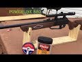 Daisy powerline 880 review best budget air rifle
