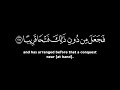 لقد صدق الله رسوله الرؤيا بالحق عبدالرزاق بوكار قرآن شاشة سوداء بدون حقوق من سورة الفتح
