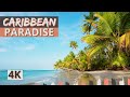 Soothing BEACH Sounds on an ISLAND in the Caribbean with Seagulls Ambience | 4K Tropical View