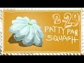 Patty Pan Squash - You Must Grow This Vegetable!